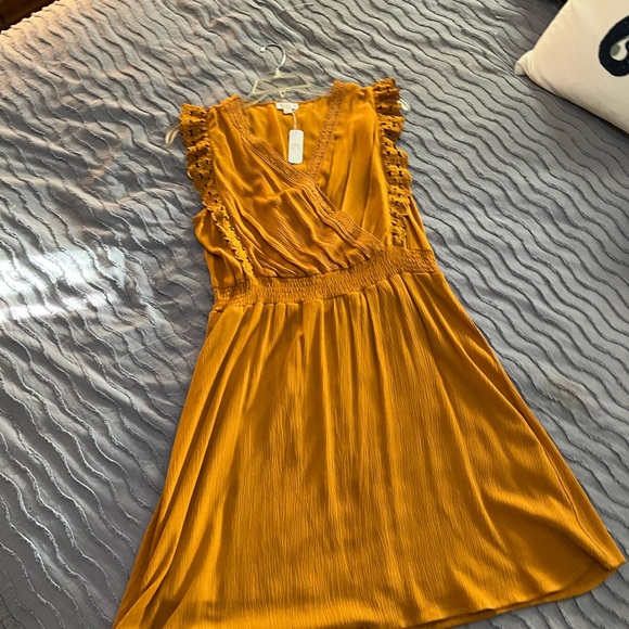 Charming Charlie Dresses & Skirts - New DRESS Charming Charlie rusty orange lace XL